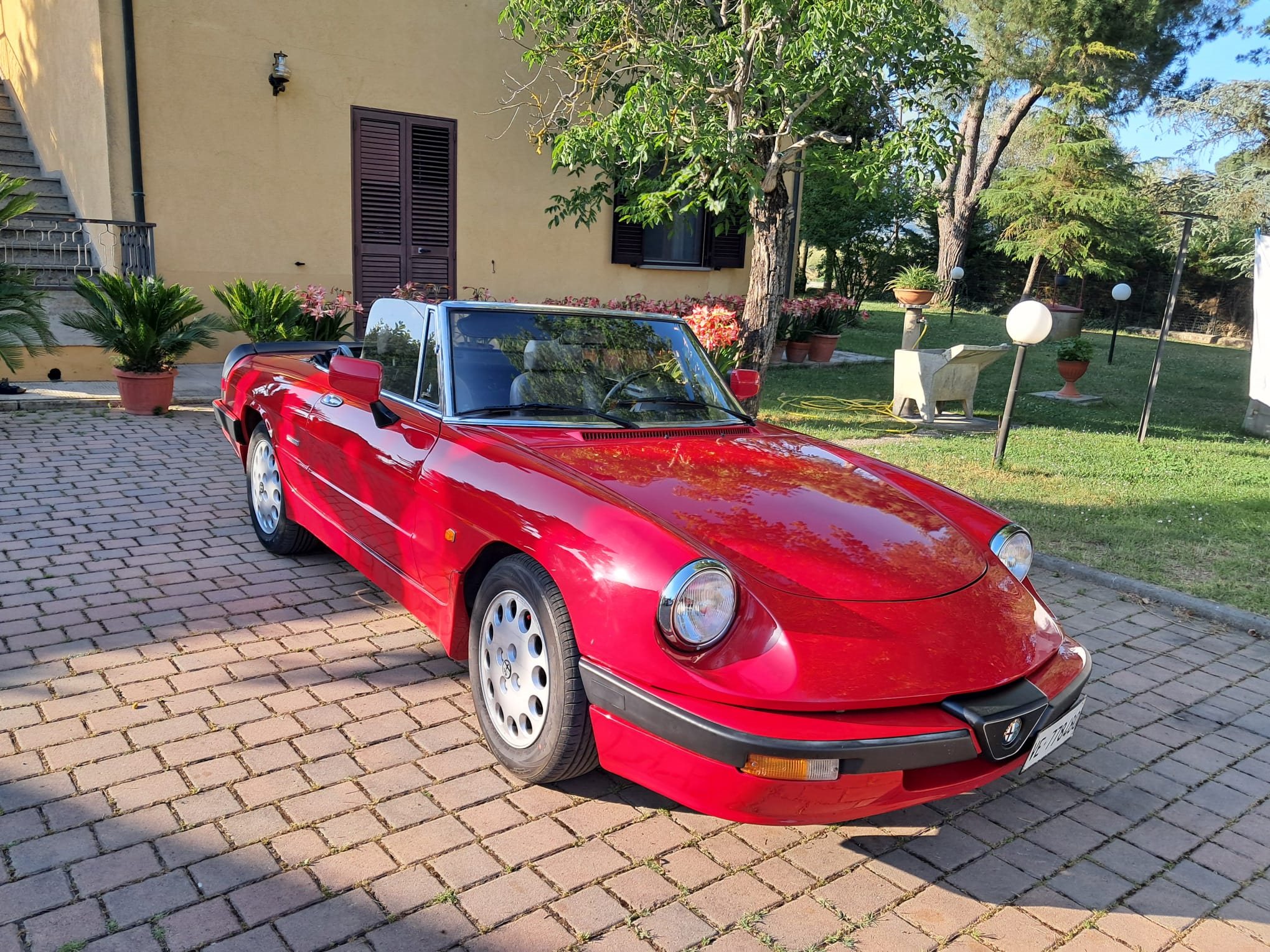 Alfa Romeo Duetto